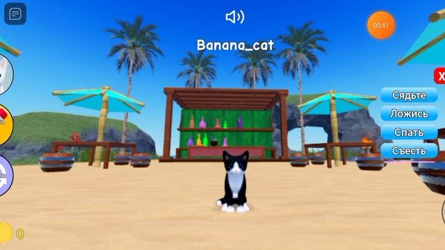 #bananacat Оля кекс и Лëня песня про бит бокс но это котики смотреть онлайн