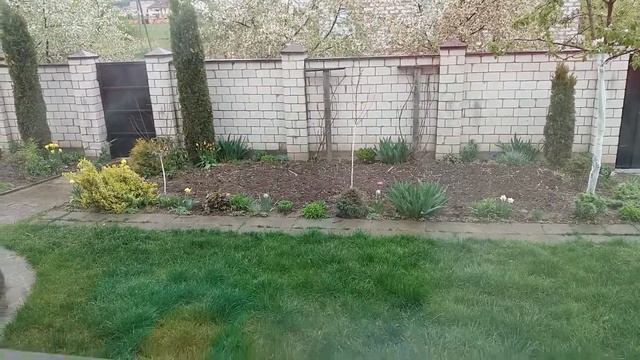 Отличный обед готов!!!/Отдых у плиты.../Видео № 77 смотреть онлайн