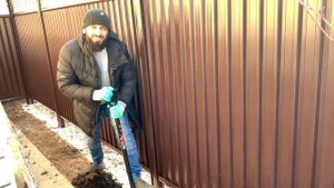 ПОСАДКА ЕЛИ ДЛЯ НОВИЧКОВ ХВОЙНЫЕ , ДИКИЙ ШИПОВНИК В САДУ , ЛАНДШАФТНЫЙ ДИЗАЙН