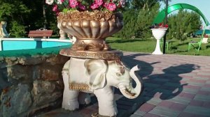 Парк / Деревня / Вязовка / Лето 2021 год /