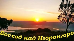 Рассвет над Нгоронгоро. Звуки природы _ Sunrise over Ngorongoro. Sounds of nature. In real time