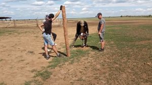 Тест бензобура STIHL BT 131 ?