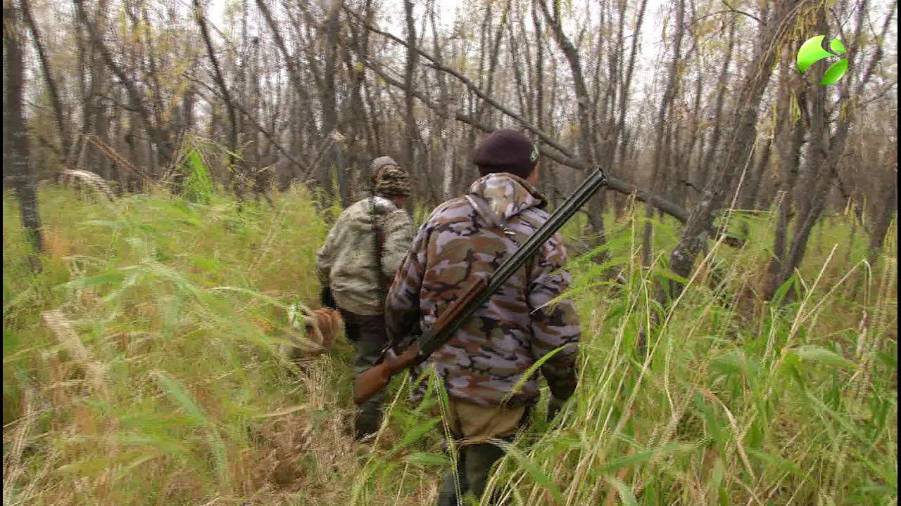 С полем! "Нереальная охота"