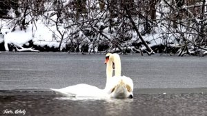 Самая красивая музыка, можно слушать бесконечно Сергей Грищук! Трогательная музыка для души