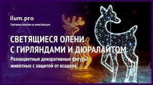 Светодиодные олени с гирляндами в спортивном клубе на Новый год / Айлюм Про