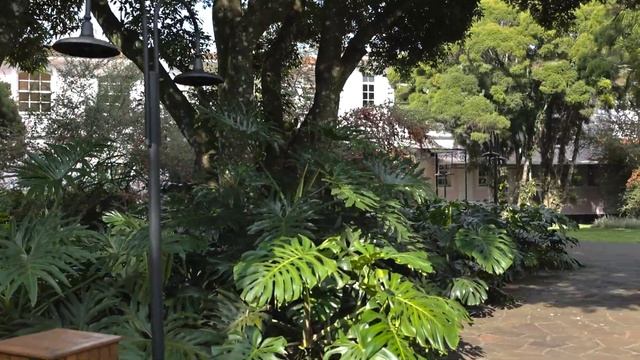 Самый дорогой отель в Бразилии с выходом к водопадам Игуасу | Заграничники