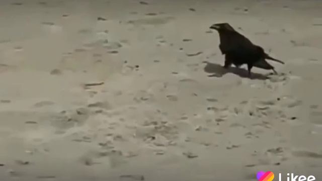 Друг это главное в жизни смотреть онлайн