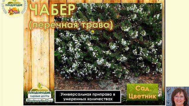 Лекарственный огород - польза, простота, красота! смотреть онлайн