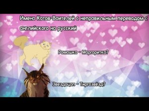 //Имена Котов-Воителей с неправильным переводом с английского на русский//Warrior cats// #подпишись