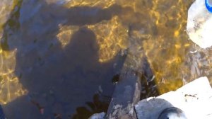 ТАК Я РЫБАЧИЛ В ДЕТСТВЕ / РЫБАЛКА НА БАНКУ / РЕЧНОЙ ГОЛЬЯН. РЕКА ПИЖМА.