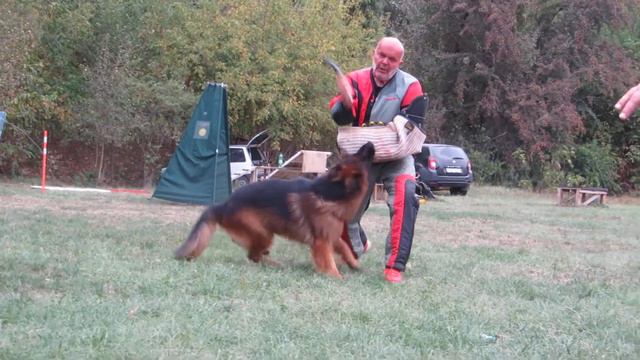 Миро Аквитас Кёрунг Краснодар. смотреть онлайн