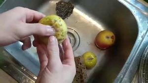 Яблоки - чем отмыть черные точки?