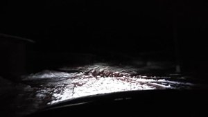 Би-ксеноновые линзы в птф киа спектра