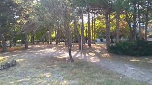 отель Ком Албена Болгария hotel Com Albena  2019. Амфитеатр и детская площадка