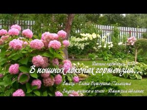 В пышных локонах гортензий... Дачные картинки 2020.