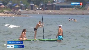 Отдыхающих в Приморье предупредили о возможном появлении в водах белых акул