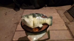 Мечта рыбака! Говорящая рыба! Такую мечтает поймать каждый.   Веселый карп!