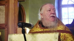 Проповедь на неделю 30-ю по Пятидесятнице (по притче о брачном пире). Димитрий Смирнов