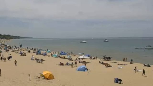 Не только для выработки гормонов: почему важен йод и в каких продуктах его больше всего смотреть онлайн