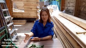 БОРЬБА С МУРАВЬЯМИ НЕ ПОМОЖЕТ ИЗБАВИТЬСЯ ОТ ТЛИ