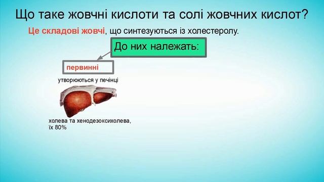ФУНКЦІЯ ПЕЧІНКИ Фізіологія