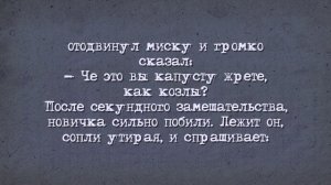 Анекдот! Тюрьма Вологодский Пятак!