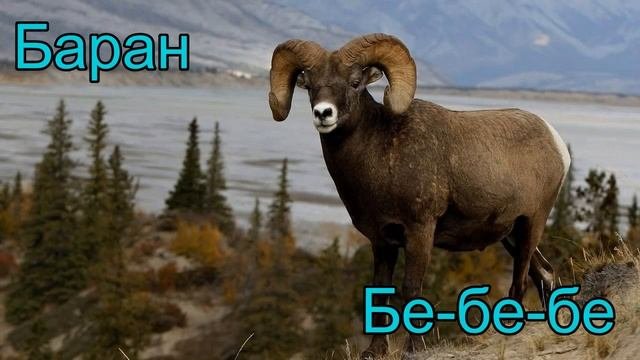 Кто как говорит(животные) 