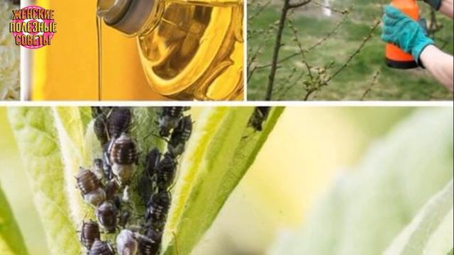 Она нанесла на кран немного оливкового масла. То, что произошло, заставило ее подруг сделать так же смотреть онлайн