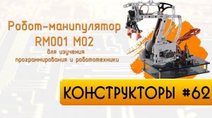 Робот манипулятор RM001 M02