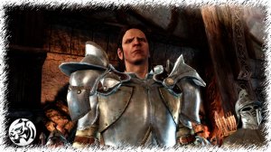 Dragon Age: Origins. Разбойник #81. Собрание Земель