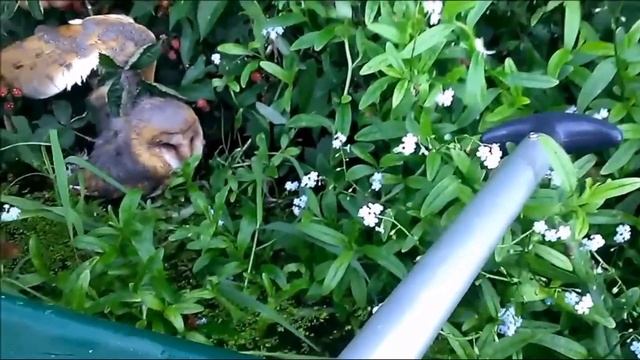 Рыбаки заметили странную картину в небе, а потом ЧТО ТО рухнуло в воду! смотреть онлайн