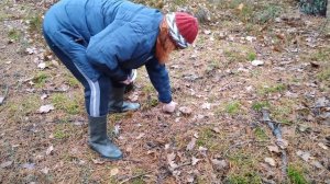 Вот такая деревенская жизнь в Белорусской глубинке