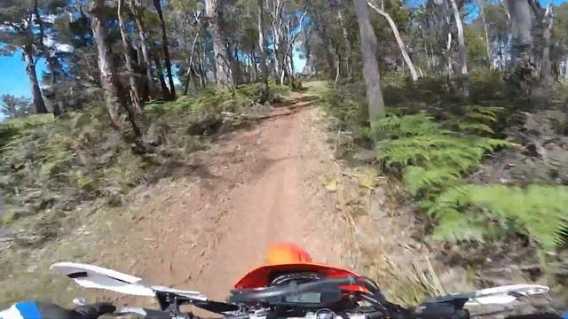 Test riding  the new  2019 Honda crf450, 2018 The year of the test ride смотреть онлайн