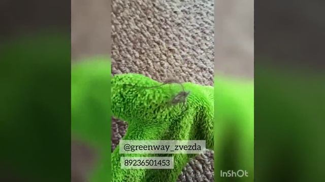 Как легко убрать волосы и шерсть животных? смотреть онлайн