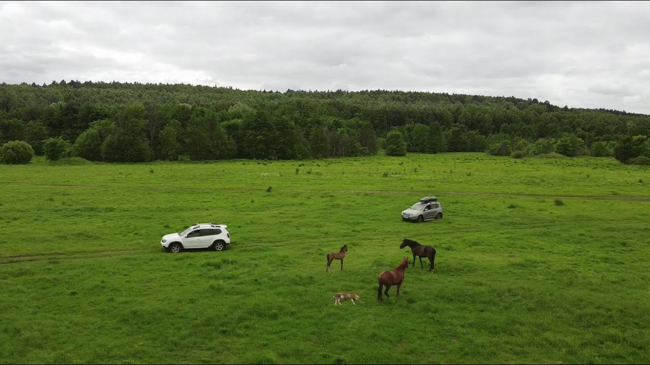 Ловля Леща на Донки.Летняя рыбалка на Леща.Монтаж на Леща.Ловля Берша и Судака на тюльку.Лето2022 смотреть онлайн
