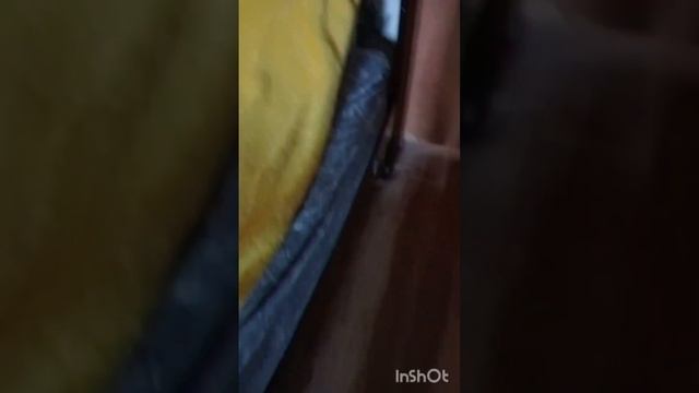 обзор на кота кузю (его тело было найдено палицей в канализационном люке рядом с домом) смотреть онлайн