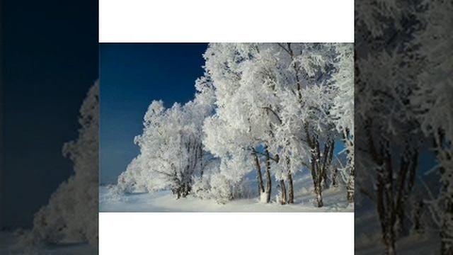 СШИ#1 Учитель естествознания:Кусаинова К.Ж смотреть онлайн