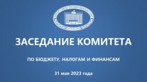 31.05.2023 заседание Комитета ГС РТ по бюджету, налогам и финансам