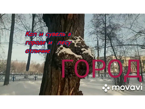 Кап,сувель в городе и лесу.Есть ли разница и отличие？ Или отличие.