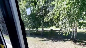 Автобус Паз Вектор Некста || Госномер АВ323 | 72| Гаражный номер 973. Маршрут 8к