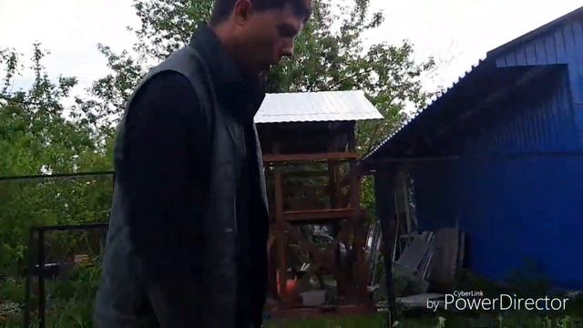 Коровы пошли в пас,было весело/во сколько можно рожать))