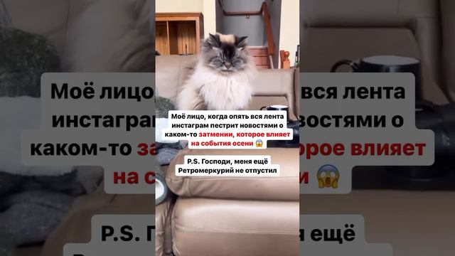 🌚Читай описание ⬇️ Тг-канал с прогнозами от чакральных кубиков «Что-то там с Кристиной Голубевой»