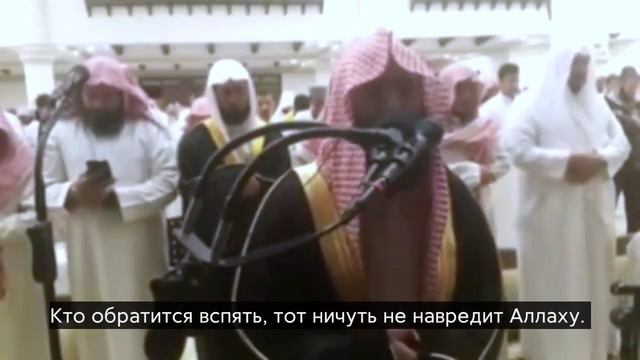 Аяты из Суры Аль-Имран Шейх Мухаммад аль-Люхайдан