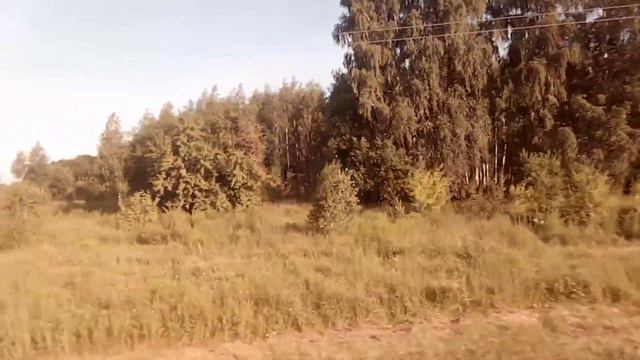 Автобус Тула Дубна от Иншинский до смотреть онлайн