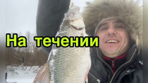 Ловля плотвы на мормышку зимой на течении