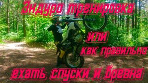 Эндуро тренировка с Николаем Новопашиным или как нужно ездить спуски и бревна