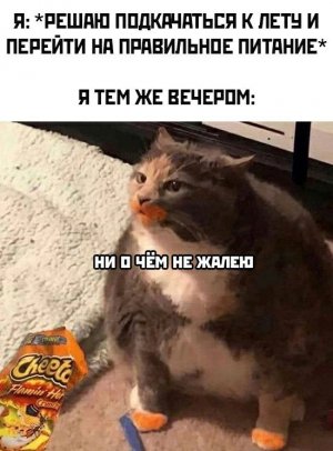 Сольный концерт от хаски