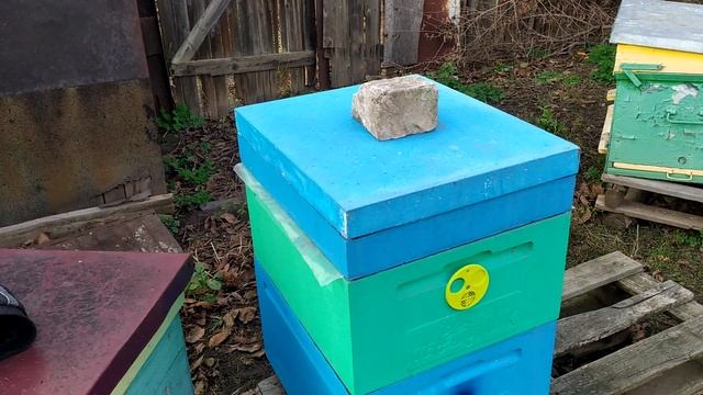 ПЧЁЛ МАЛО КАК ЗИМОВАТЬ смотреть онлайн