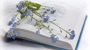 Хасан Туфан «Кайсыгызның кулы җылы».