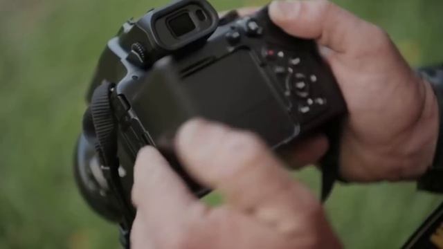 Nikon P1000 First Look, And Zoom Test